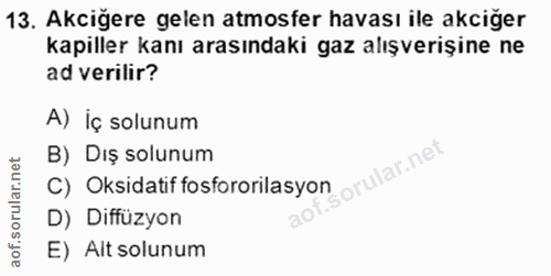 Soru 13