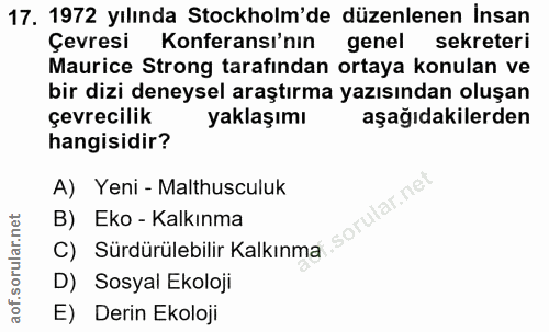 Soru 17