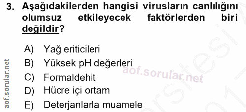 Soru 3