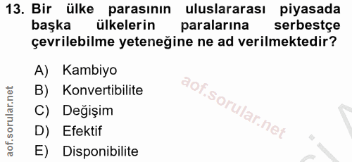 Soru 13
