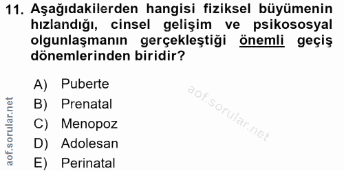 Soru 11