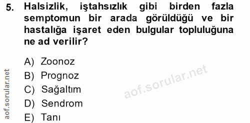 Soru 5