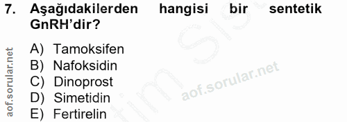 Soru 7