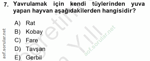 Soru 7