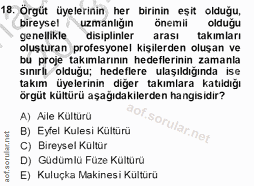 Soru 18
