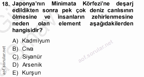 Soru 18