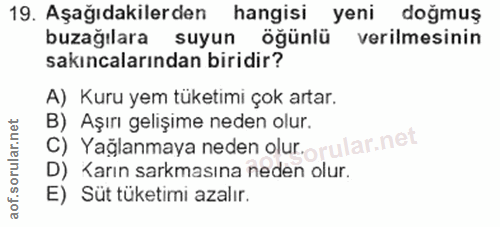 Soru 19