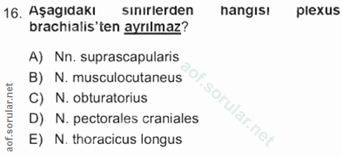 Soru 16