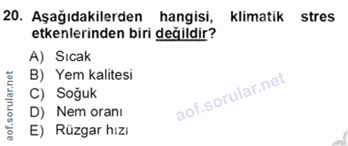 Soru 20