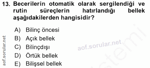 Soru 13