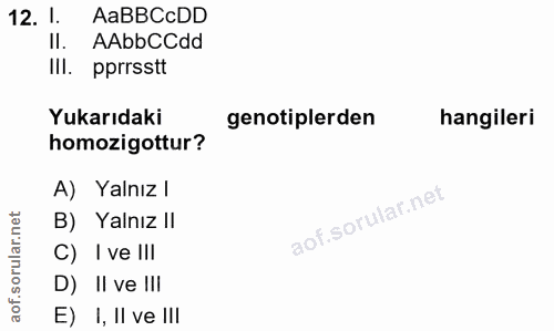 Soru 12