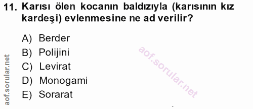 Soru 11