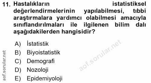 Soru 11