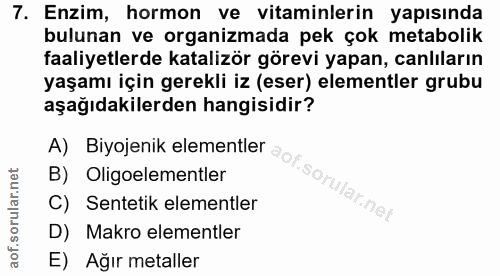 Soru 7