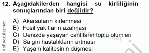 Soru 12