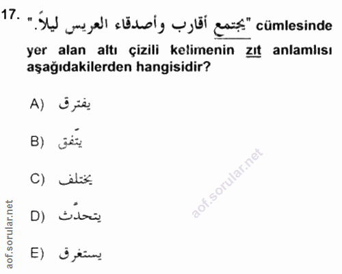 Soru 17