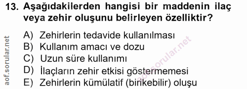 Soru 13
