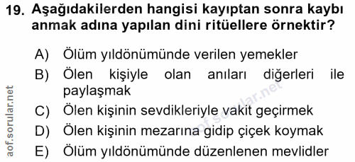 Soru 19