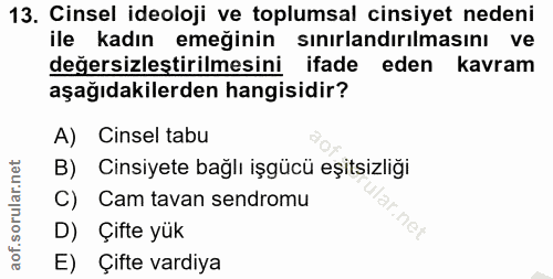 Soru 13