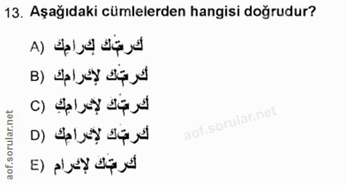 Soru 13