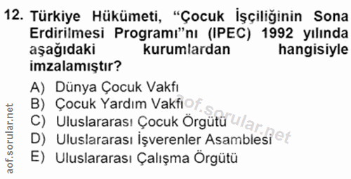 Soru 12
