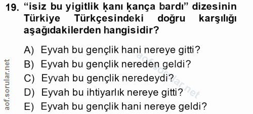 Soru 19