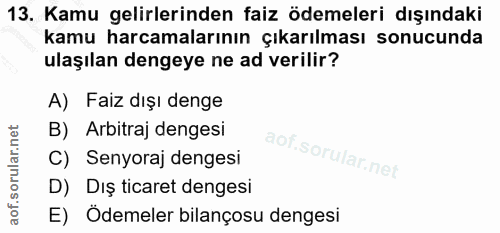 Soru 13