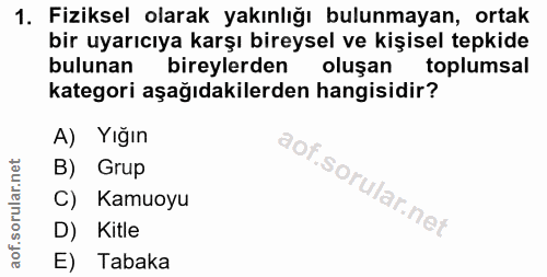 Soru 1