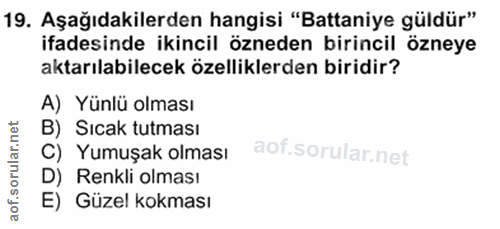 Soru 19