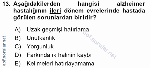 Soru 13