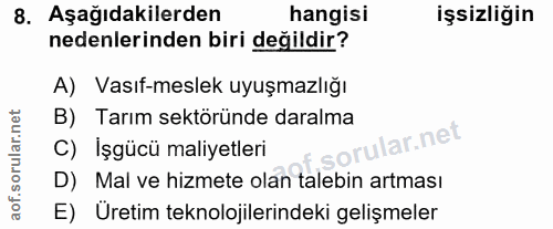Soru 8