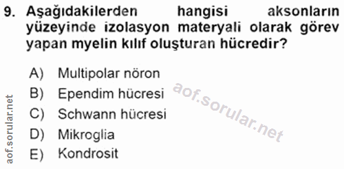 Soru 9