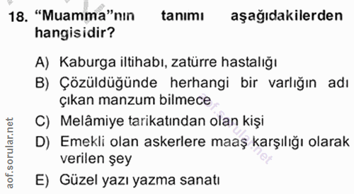 Soru 18