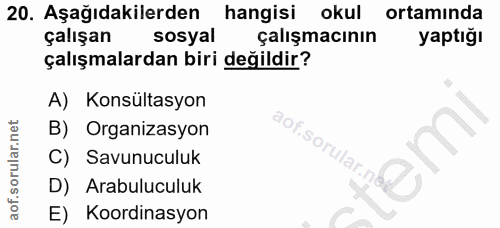 Soru 20