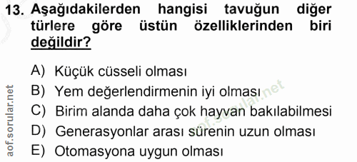 Soru 13