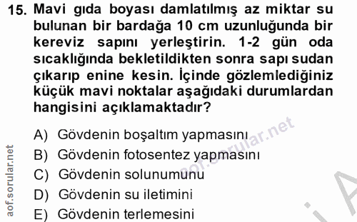 Soru 15