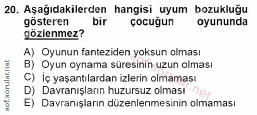 Soru 20