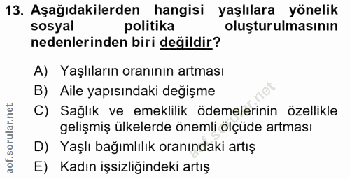 Soru 13