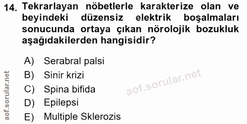 Soru 14