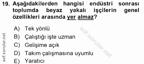 Soru 19