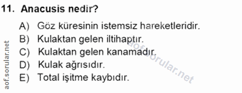 Soru 11