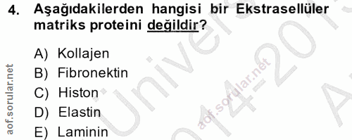 Soru 4