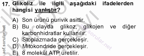 Soru 17