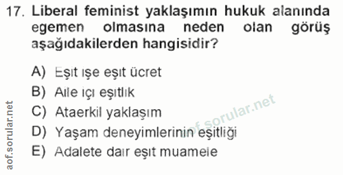 Soru 17