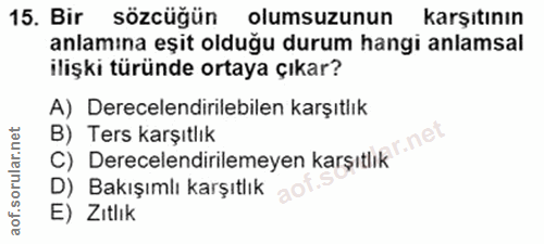 Soru 15