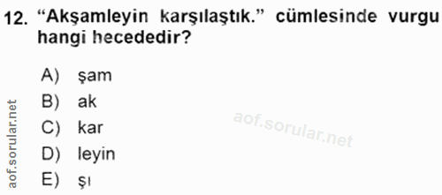 Soru 12
