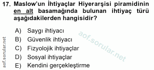 Soru 17