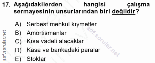 Soru 17
