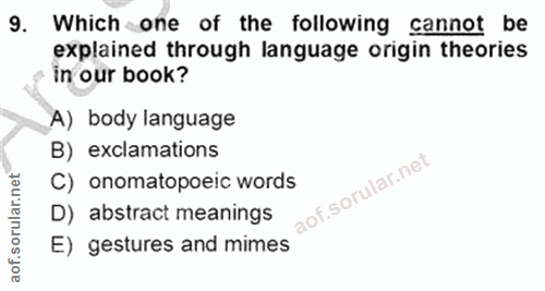Soru 9