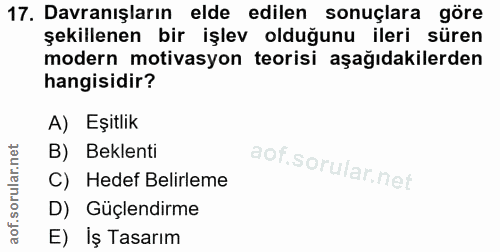 Soru 17